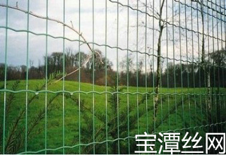 机场防护网